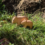 Wombat and Joey Set