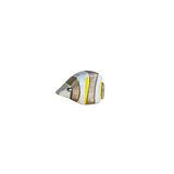 Angelfish Wooden Toy