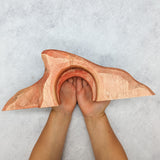 Bilby Burrow