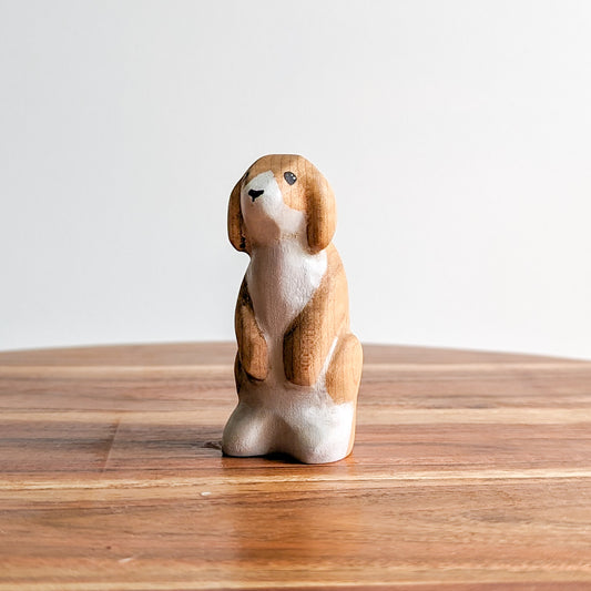 Lop Ear Rabbit - One Of a Kind