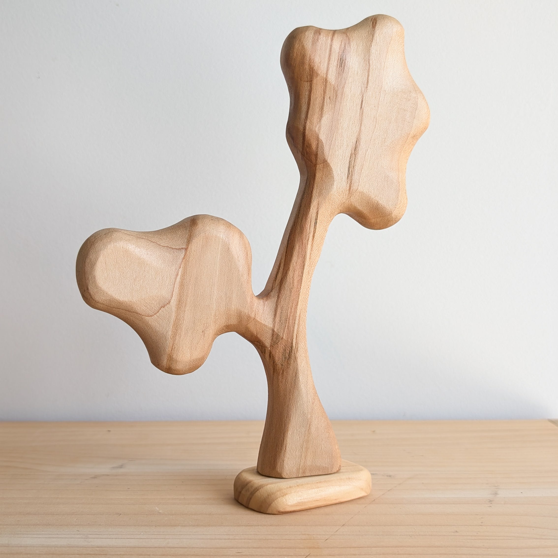 Nuytsia Tree - Beautiful Wood Grain