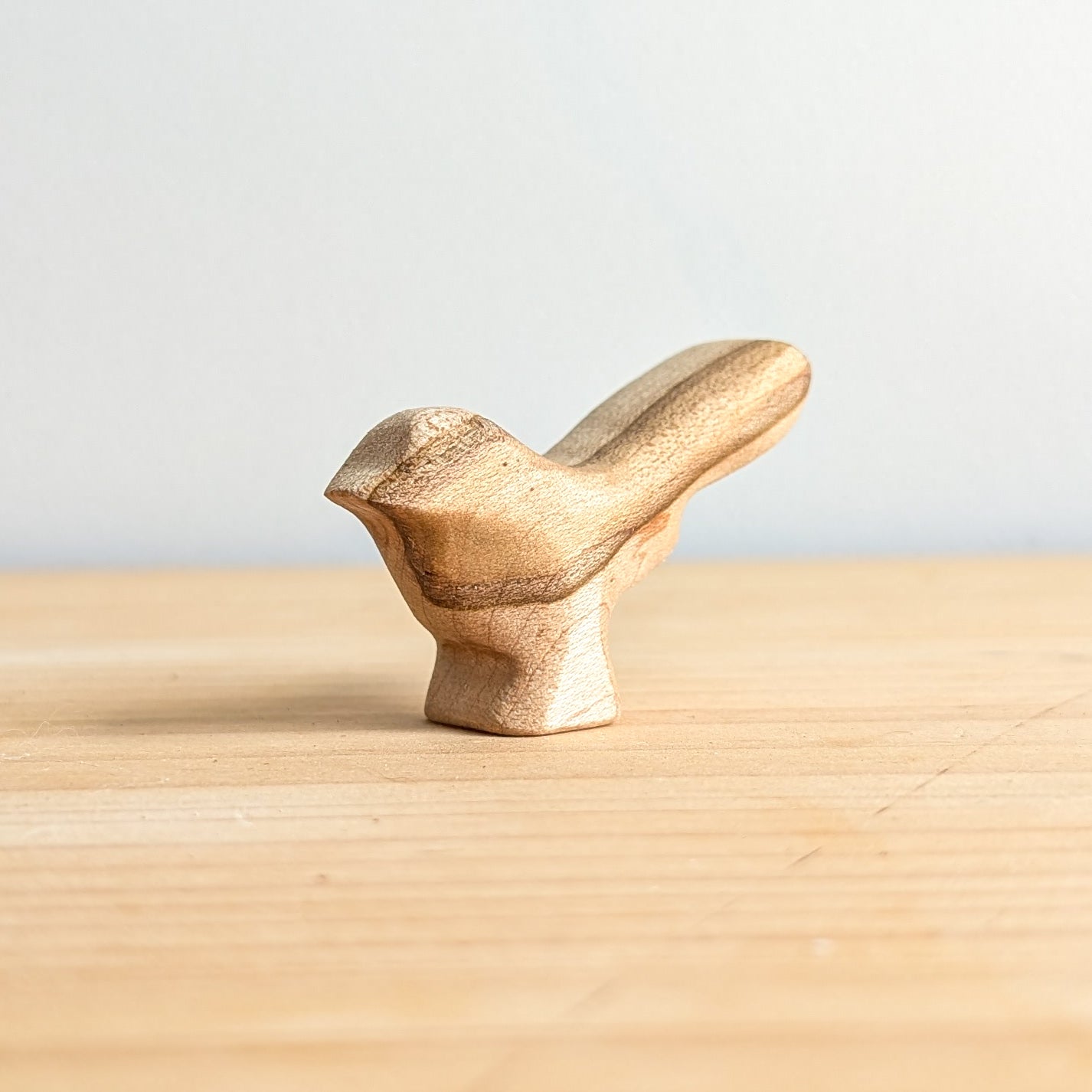 Willy Wagtail Bird - Beautiful Wood Grain