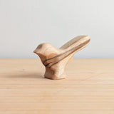 Willy Wagtail Bird - Beautiful Wood Grain