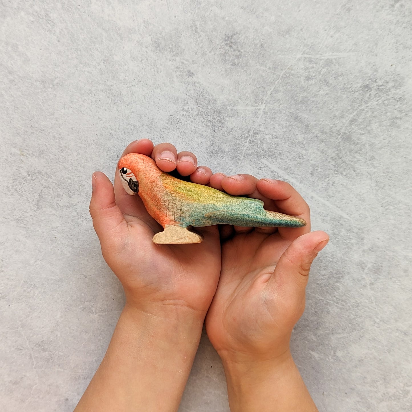Macaw Wooden Toy