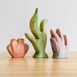Seaweed Set Wooden Toy