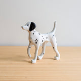 2/101 - Pongo