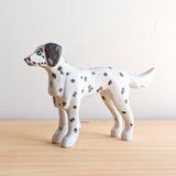 15/101 - Rover