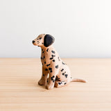 19/101 - Duke