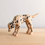 33/101 - Jasper
