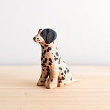 36/101 - Bandit