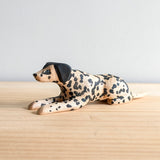 48/101 - Badger