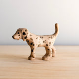 75/101 - Barkly