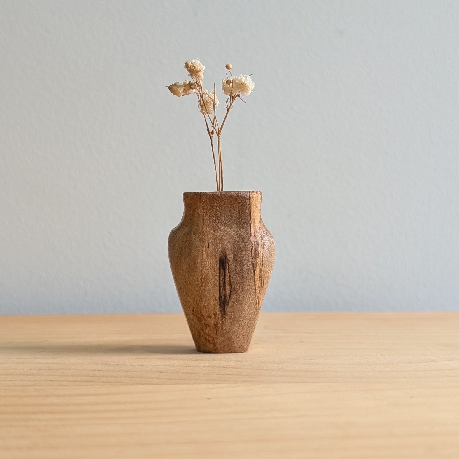Tiny Vase Magnet - Sassafras