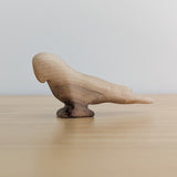 Macaw Bird - Beautiful Wood Grain