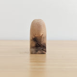 Macaw Bird - Beautiful Wood Grain