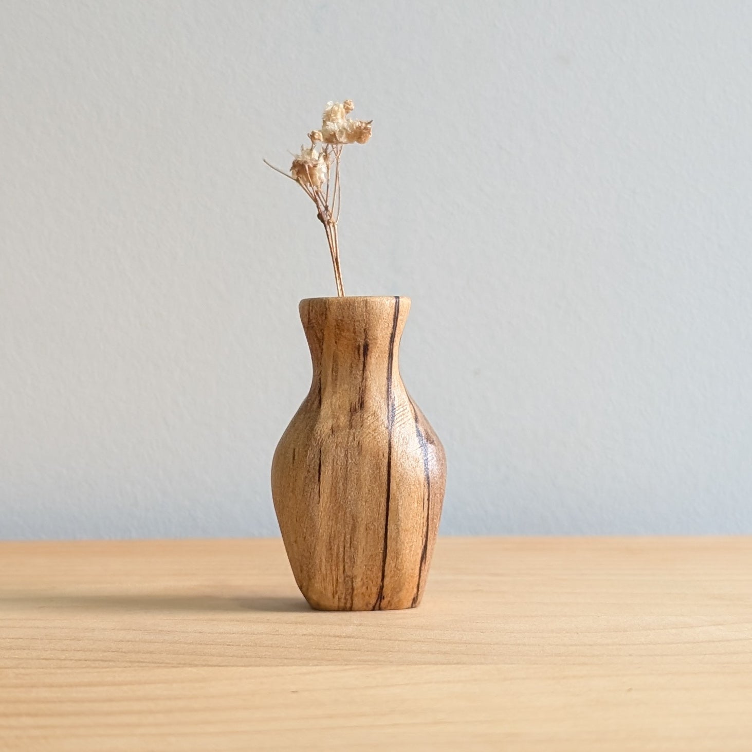 Tiny Vase Magnet - Sassafras