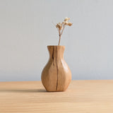 Tiny Vase Magnet - Sassafras