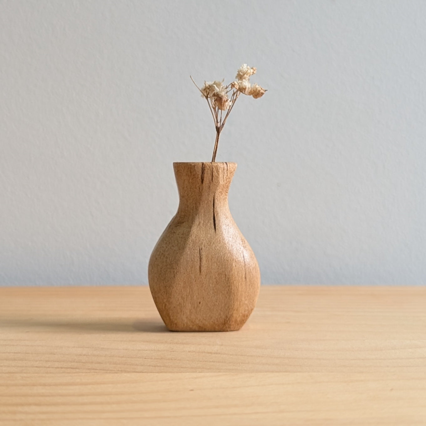 Tiny Vase Magnet - Sassafras