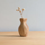 Tiny Vase Magnet - Sassafras