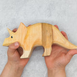 Dinosaur Wooden Toy Set